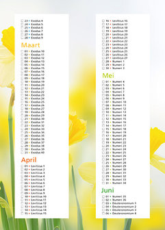 Bijbelleesrooster / De Bijbel in 3 jaar