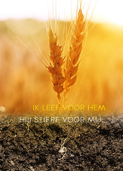 Ansichtkaarten / Hij stierf voor mij