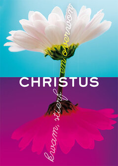 Poster / Christus kwam stierf en overwon