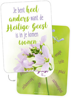 Minikaartjes / Pinksteren