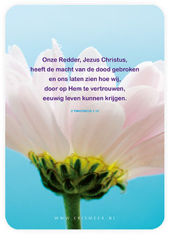 Minikaartjes / Christus kwam, stierf en overwon