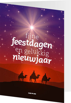 | Gemengde set / Dubbele kerst- en nieuwjaarskaarten