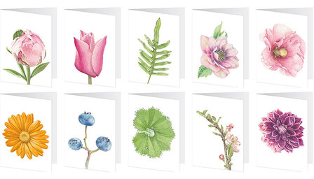 | Gemengde set / Dubbele bloemenkaarten