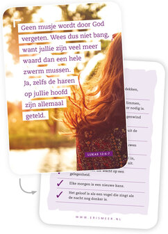 | Gemengde set  / Bemoedigingskaartjes