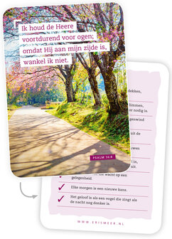 | Gemengde set  / Bemoedigingskaartjes