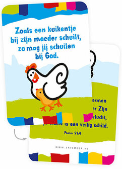| Gemengde set / Minikaartjes voor kinderen