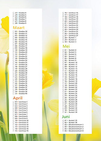 Bijbelleesrooster / De Bijbel in 3 jaar