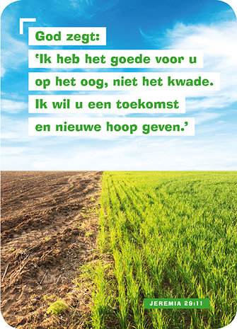 Minikaartjes / Ik heb het goede voor u op het oog