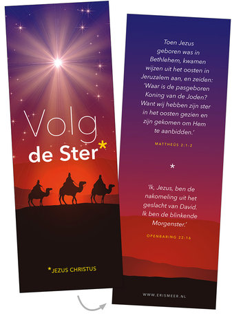 | Gemengde set / Boekenleggers Kerst