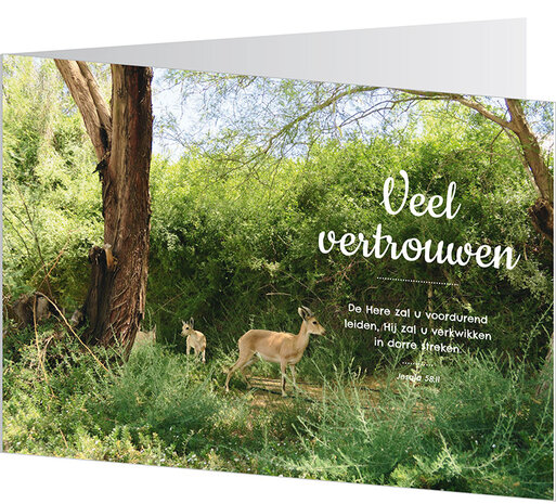 Dubbele wenskaarten / Veel vertrouwen