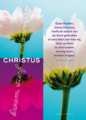 Boekenleggers / Christus kwam, stierf en overwon