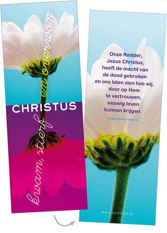 Boekenleggers / Christus kwam, stierf en overwon