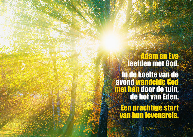 Miniboekje tijdloos / De reis van je leven
