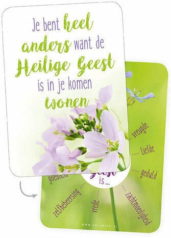 | Gemengde set  / Minikaartjes opbouwend