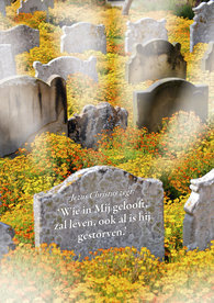 Poster / Wie in Mij gelooft zal leven